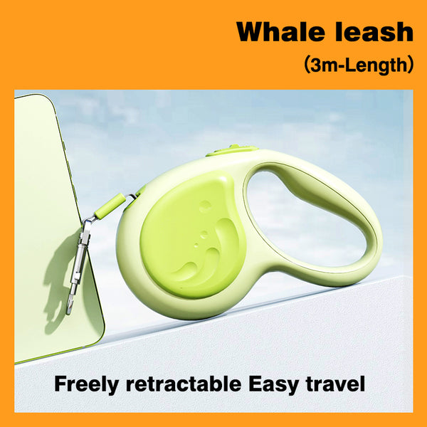 Pet Leash Automatic Retractable Leash Dog Retractable Retractor 10-feet