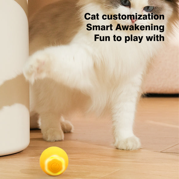 Interactive Pet Ball